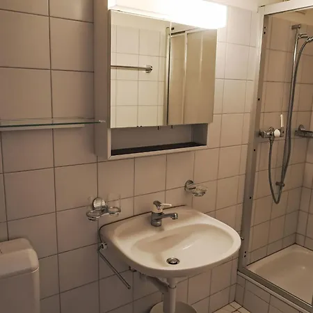 Apartment D 045 By Interhome Disentis