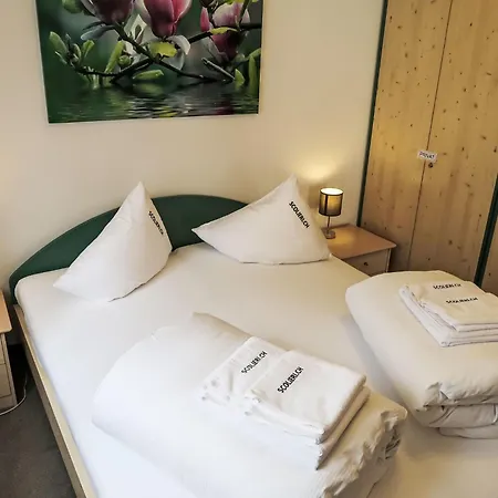 D 045 By Interhome Disentis