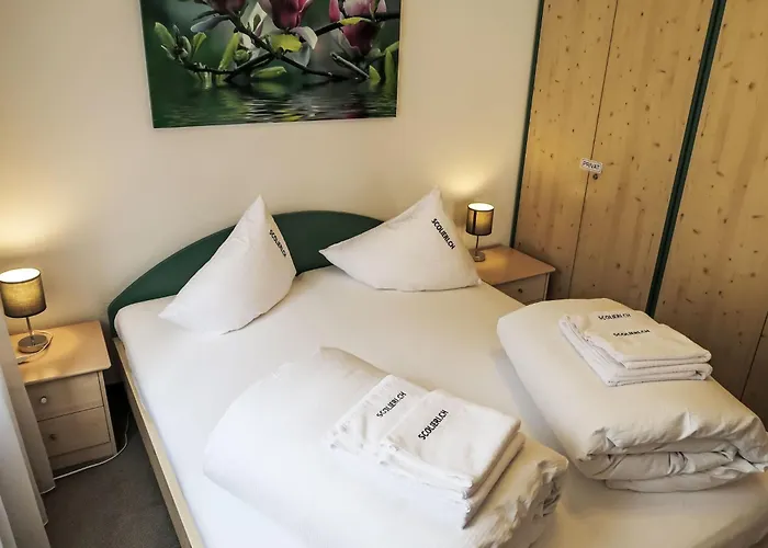 D 045 By Interhome Disentis